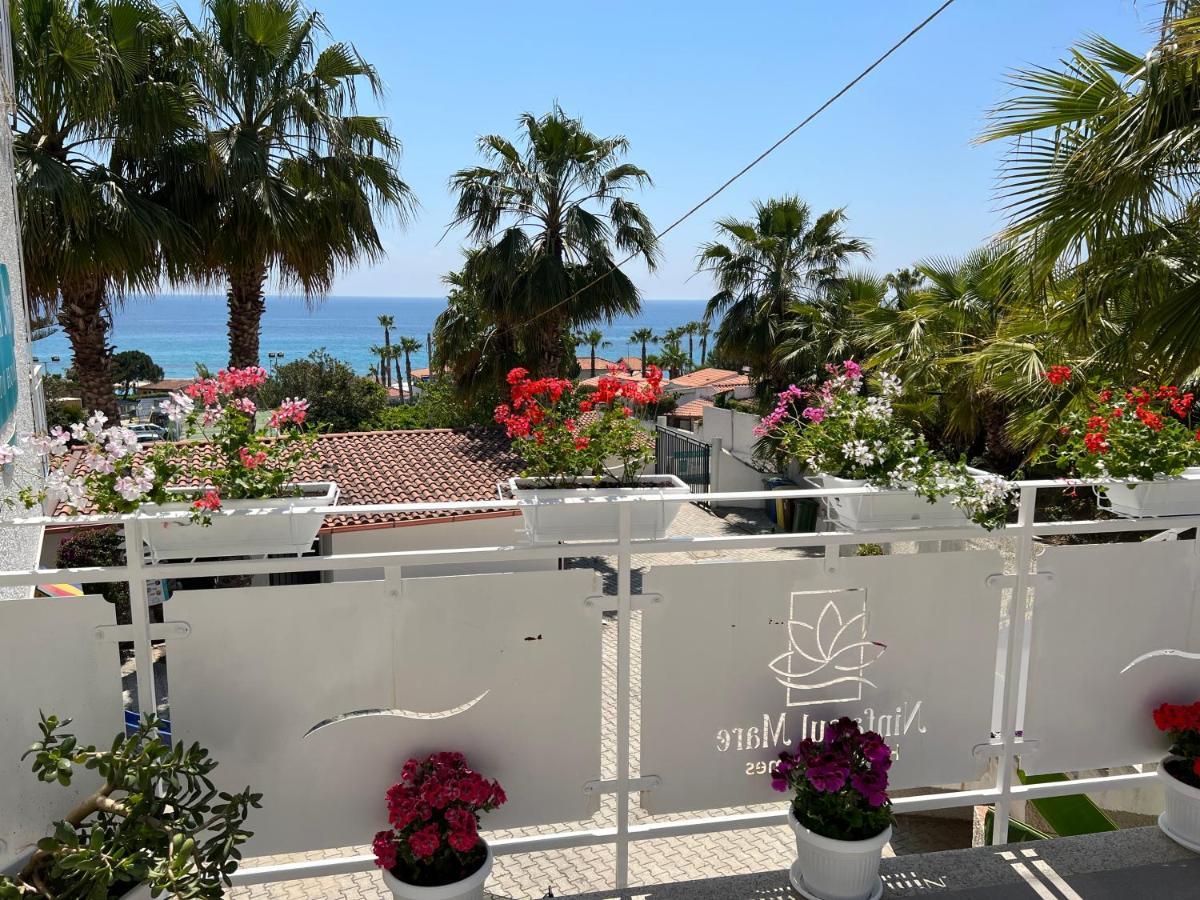 Ninfa Sul Mare Apartments 50 M E T R I Dal Mare Best Breakfast And Free Parking Capo Vaticano Exterior photo